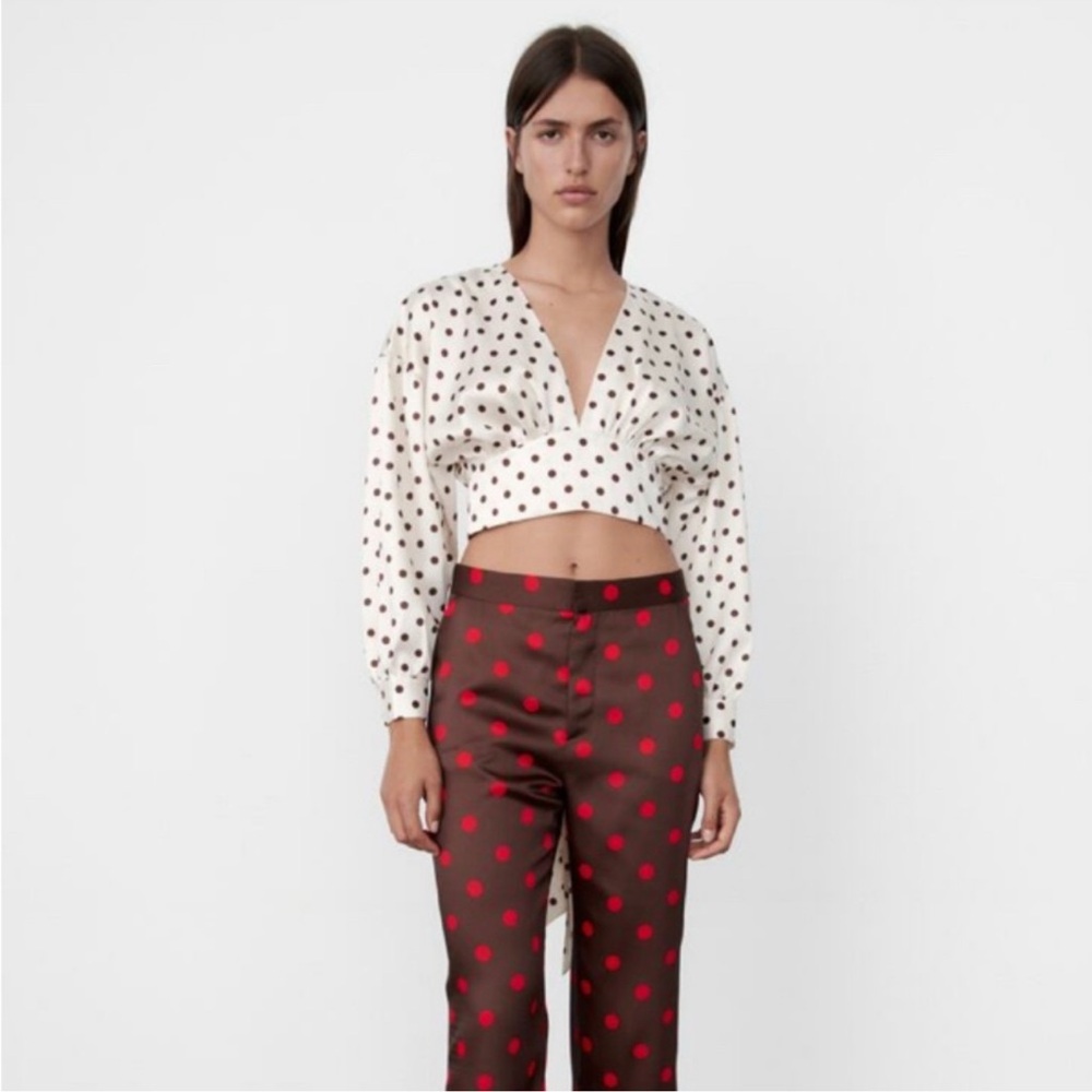 Zara Polka Dot Top